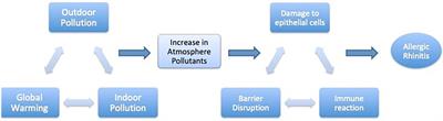 Air pollution and rhinitis